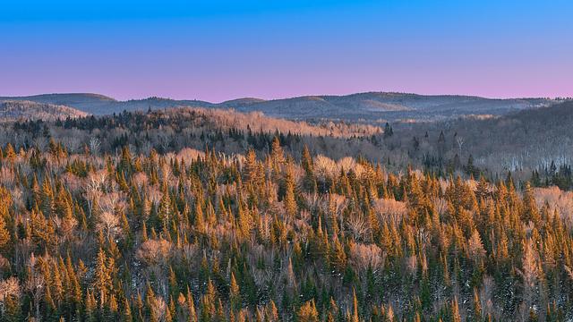 Mobilité Francophone : travailler au Canada sans EIMT en 2026