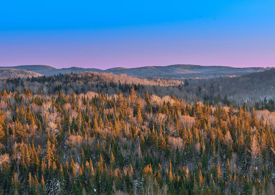 Mobilité Francophone : travailler au Canada sans EIMT en 2026